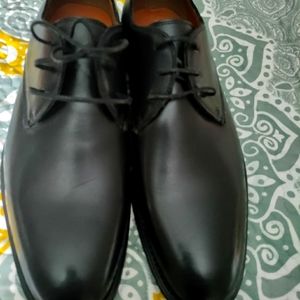 Black Derbys